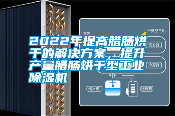 2022年提高臘腸烘干的解決方案，提升產量臘腸烘干型工業除濕機