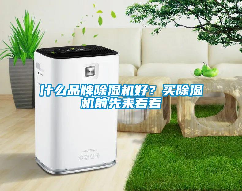 什么品牌除濕機好？買除濕機前先來看看