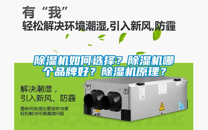 除濕機如何選擇？除濕機哪個品牌好？除濕機原理？