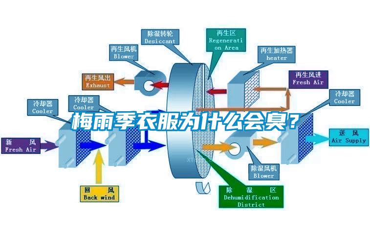 梅雨季衣服為什么會臭？