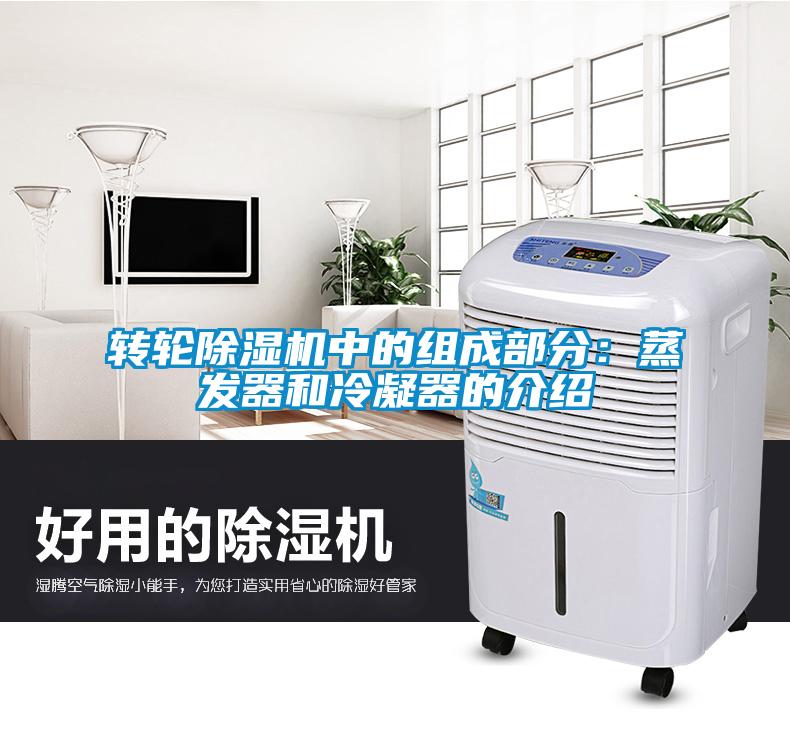 轉輪除濕機中的組成部分：蒸發器和冷凝器的介紹