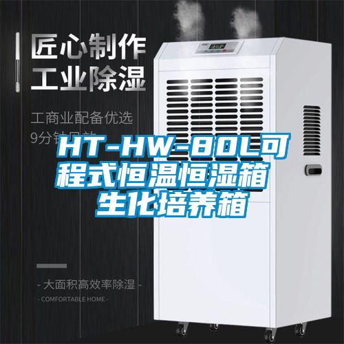 HT-HW-80L可程式恒溫恒濕箱 生化培養箱