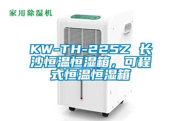 KW-TH-225Z 長沙恒溫恒濕箱，可程式恒溫恒濕箱