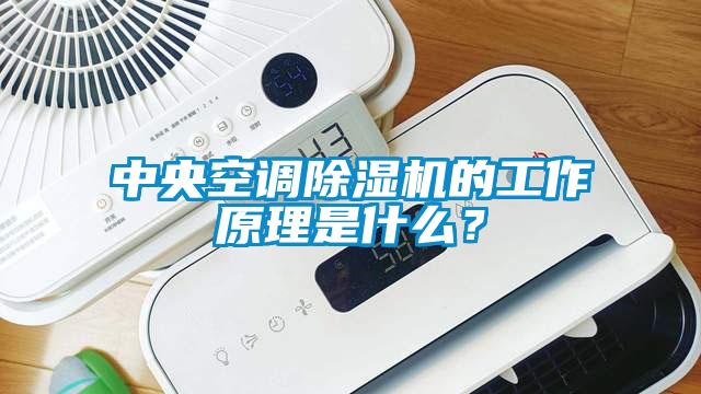 中央空調(diào)除濕機的工作原理是什么？