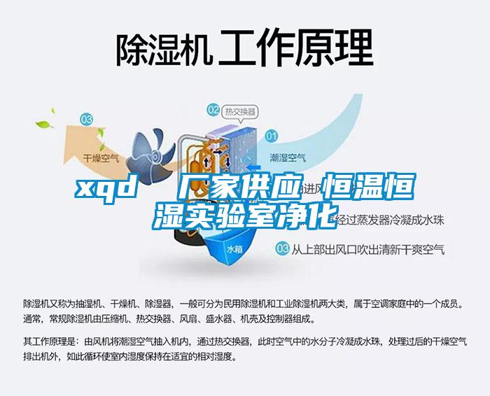 xqd  廠家供應 恒溫恒濕實驗室凈化