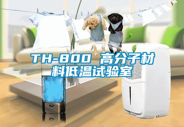 TH-800 高分子材料低溫試驗室