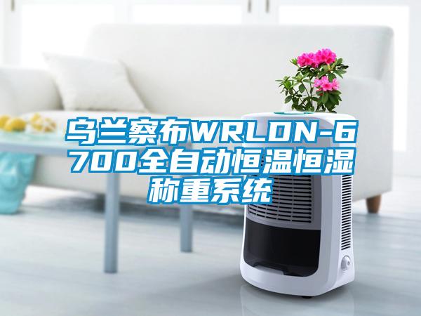 烏蘭察布WRLDN-6700全自動恒溫恒濕稱重系統