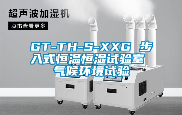 GT-TH-S-XXG 步入式恒溫恒濕試驗室 氣候環境試驗