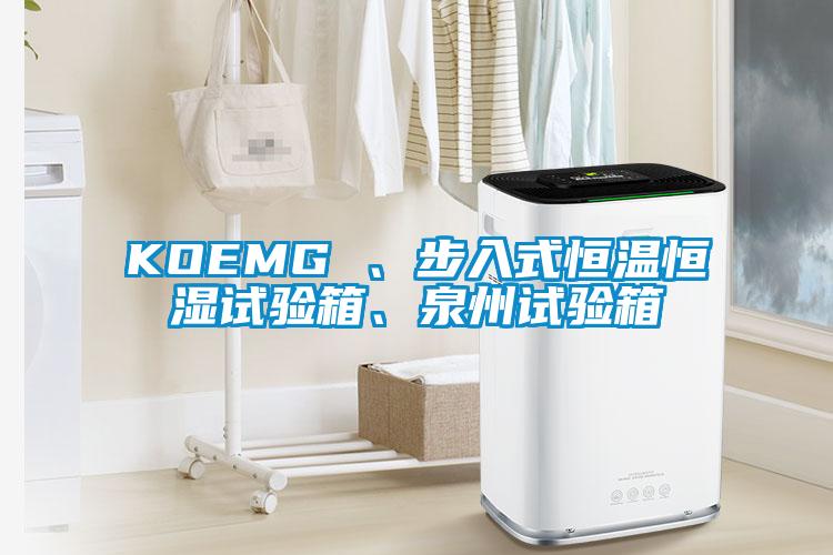 KOEMG 、步入式恒溫恒濕試驗箱、泉州試驗箱