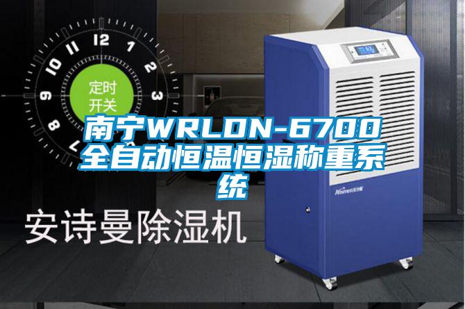 南寧WRLDN-6700全自動恒溫恒濕稱重系統