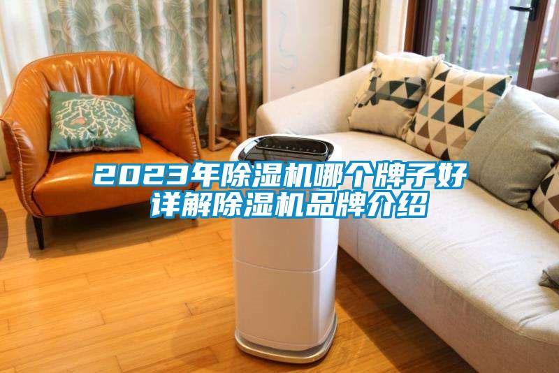 2023年除濕機哪個牌子好 詳解除濕機品牌介紹