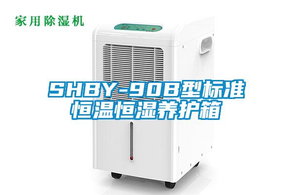 SHBY-90B型標準恒溫恒濕養護箱