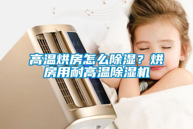 高溫烘房怎么除濕？烘房用耐高溫除濕機