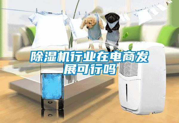 除濕機(jī)行業(yè)在電商發(fā)展可行嗎