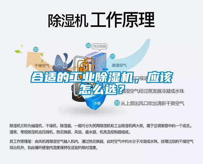 合適的工業除濕機，應該怎么選？