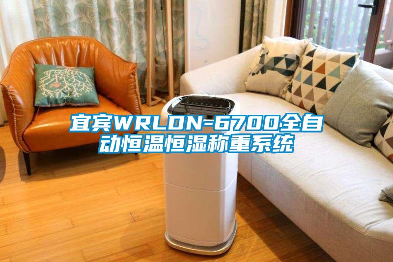 宜賓WRLDN-6700全自動恒溫恒濕稱重系統