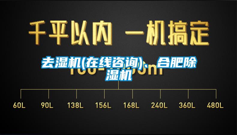 去濕機(在線咨詢)、合肥除濕機