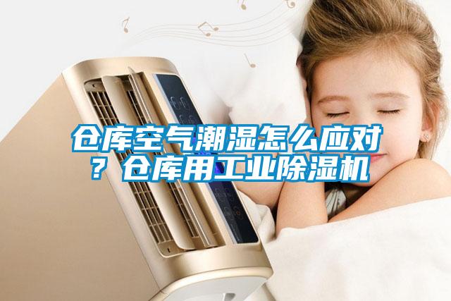 倉庫空氣潮濕怎么應對？倉庫用工業除濕機