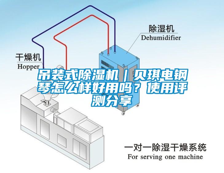 吊裝式除濕機｜貝琪電鋼琴怎么樣好用嗎？使用評測分享