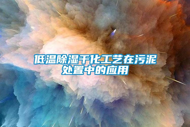 低溫除濕干化工藝在污泥處置中的應(yīng)用