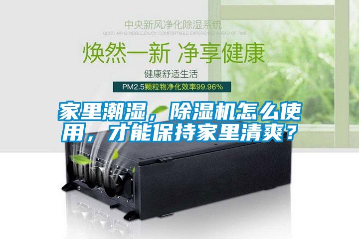 家里潮濕，除濕機怎么使用，才能保持家里清爽？