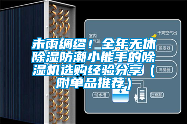 未雨綢繆！全年無休除濕防潮小能手的除濕機選購經驗分享（附單品推薦）