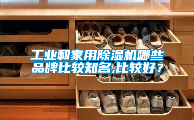 工業和家用除濕機哪些品牌比較知名,比較好？