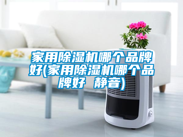 家用除濕機哪個品牌好(家用除濕機哪個品牌好 靜音)