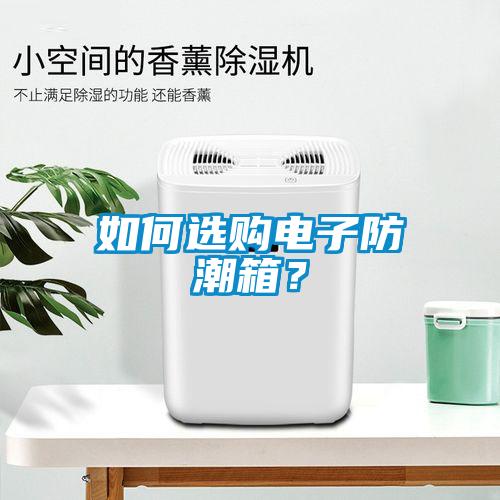 如何選購電子防潮箱？