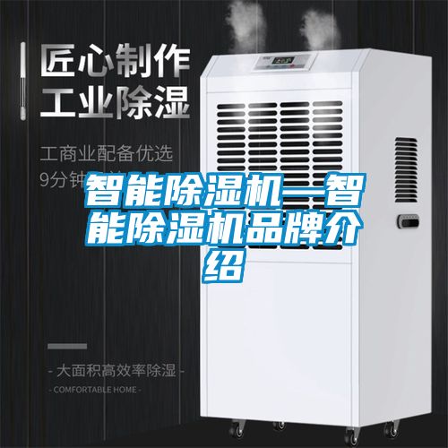 智能除濕機—智能除濕機品牌介紹