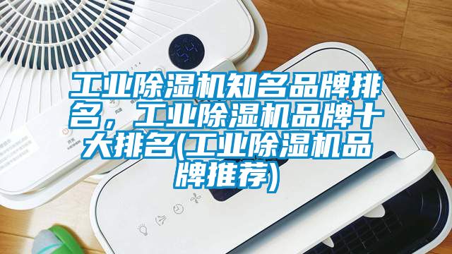 工業除濕機知名品牌排名，工業除濕機品牌十大排名(工業除濕機品牌推薦)