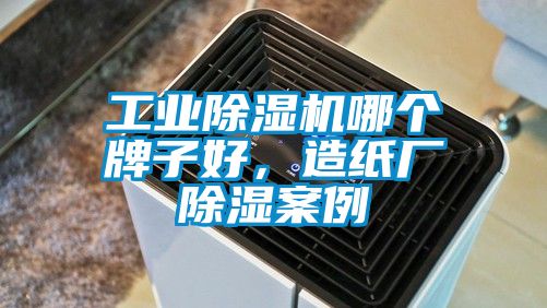 工業除濕機哪個牌子好，造紙廠除濕案例