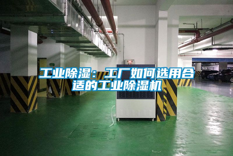 工業除濕：工廠如何選用合適的工業除濕機