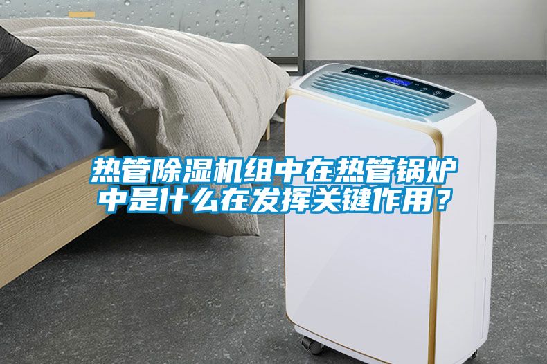 熱管除濕機組中在熱管鍋爐中是什么在發揮關鍵作用？