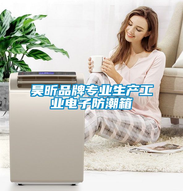 昊昕品牌專業生產工業電子防潮箱