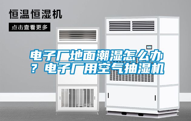 電子廠地面潮濕怎么辦？電子廠用空氣抽濕機(jī)