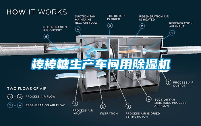 棒棒糖生產(chǎn)車(chē)間用除濕機(jī)