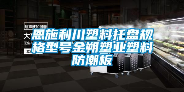 恩施利川塑料托盤規格型號金朔塑業塑料防潮板