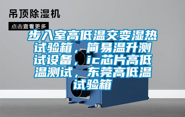 步入室高低溫交變濕熱試驗箱，簡易溫升測試設備，ic芯片高低溫測試，東莞高低溫試驗箱