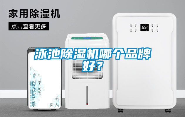 泳池除濕機哪個品牌好？