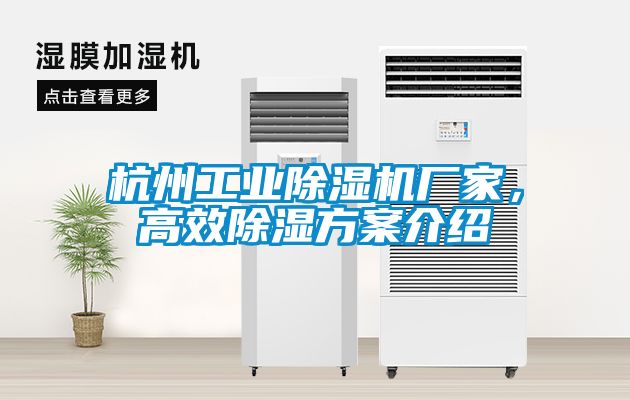 杭州工業(yè)除濕機廠家，高效除濕方案介紹