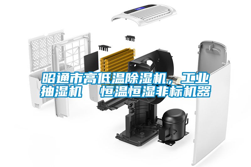 昭通市高低溫除濕機，工業抽濕機  恒溫恒濕非標機器