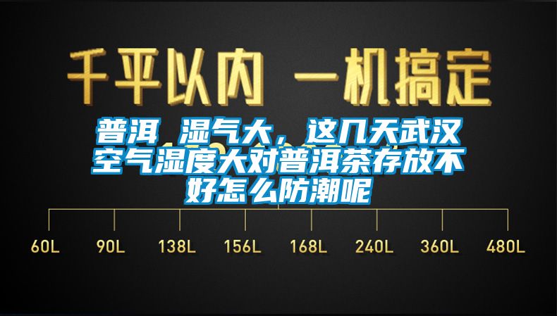 普洱 濕氣大，這幾天武漢空氣濕度大對普洱茶存放不好怎么防潮呢