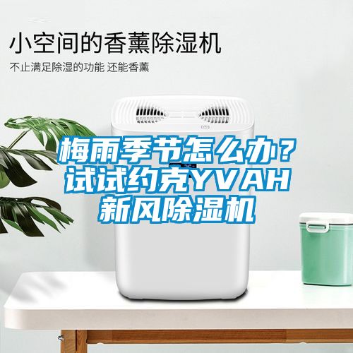 梅雨季節怎么辦？試試約克YVAH新風除濕機