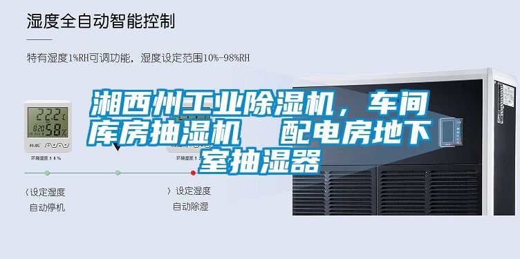 湘西州工業除濕機，車間庫房抽濕機  配電房地下室抽濕器