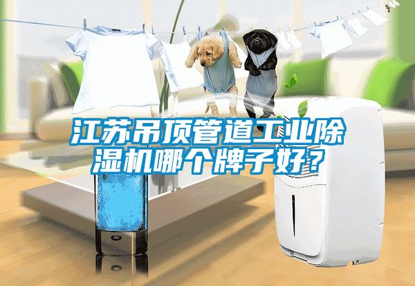 江蘇吊頂管道工業除濕機哪個牌子好？