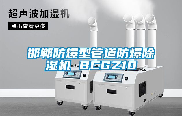 邯鄲防爆型管道防爆除濕機 BCGZ10