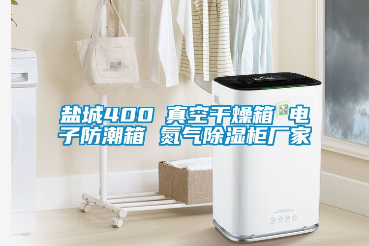 鹽城400℃真空干燥箱 電子防潮箱 氮氣除濕柜廠家