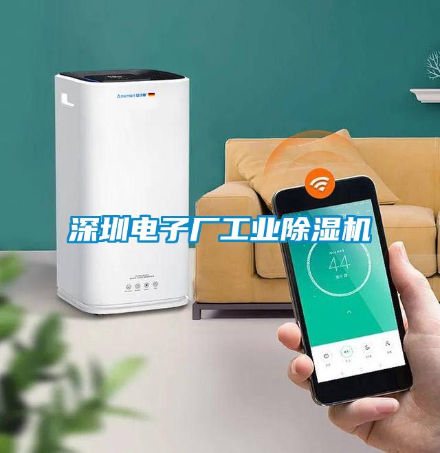 深圳電子廠工業除濕機