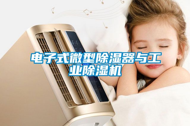 電子式微型除濕器與工業除濕機